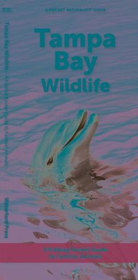 Cover image for Tampa Bay Wildlife