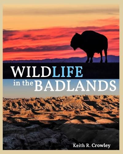 Cover image for WILDLIFE in the BADLANDS