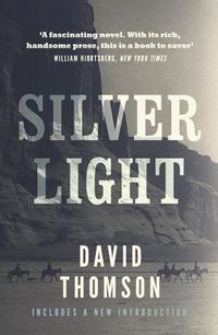 Cover image for Silver Light
