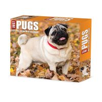 Cover image for Pugs 2025 6.2 X 5.4 Box Calendar