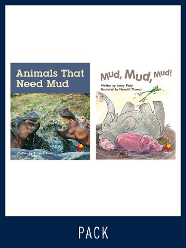 Cover image for Flying Start Guided Reading Pack Level 10, Pack 3: Paired student books (6x6) and lesson plan (1)