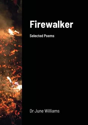 Cover image for Firewalker