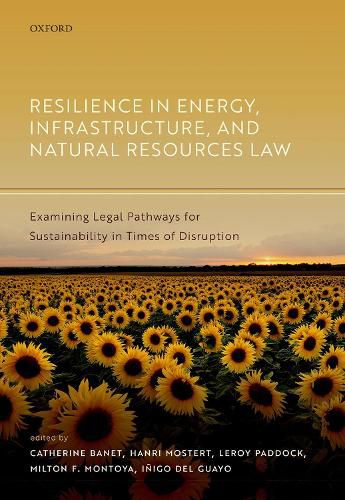 Cover image for Resilience in Energy, Infrastructure, and Natural Resources Law: Examining Legal Pathways for Sustainability in Times of Disruption