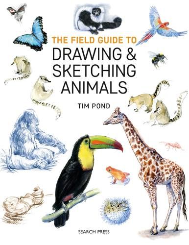 Cover image for The Field Guide to Drawing & Sketching Animals