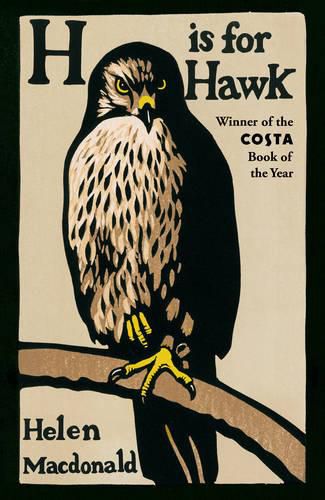 Cover image for H is for Hawk: A BBC2 Between the Covers pick