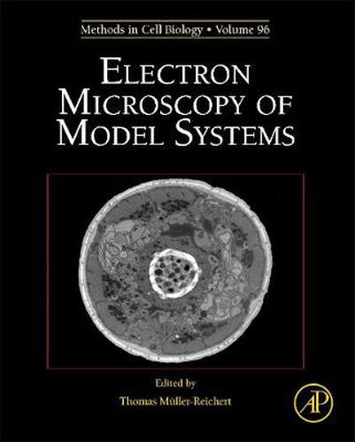 Electron Microscopy of Model Systems