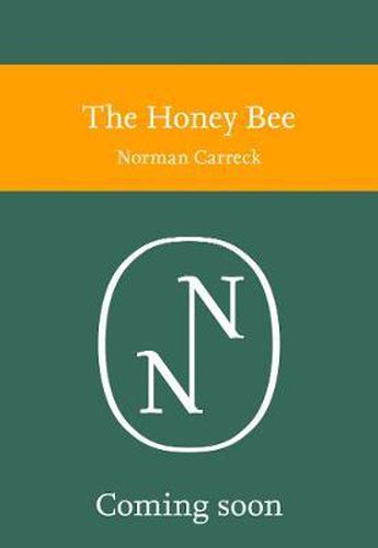 Cover image for The Honey Bee