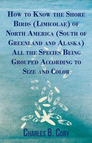 Cover image for How to Know the Shore Birds (Limicolae) of North America (South of Greenland and Alaska) All the Species Being Grouped According to Size and Color