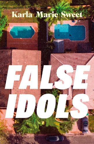 Cover image for False Idols