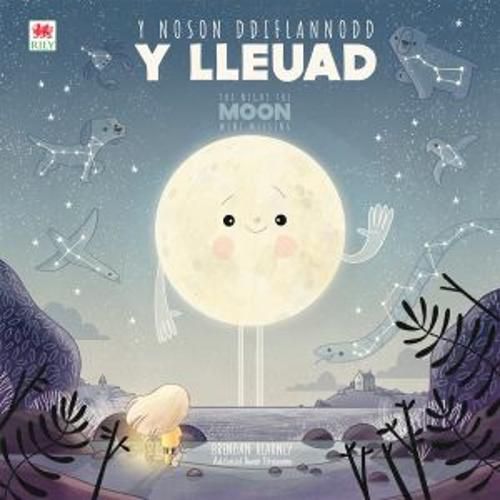 Cover image for Y Noson Ddiflannodd y Lleuad / The Night the Moon Went Missing