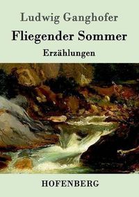 Cover image for Fliegender Sommer: Erzahlungen