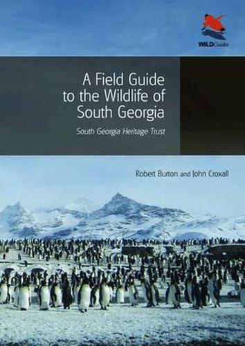 Cover image for A Field Guide to the Wildlife of South Georgia