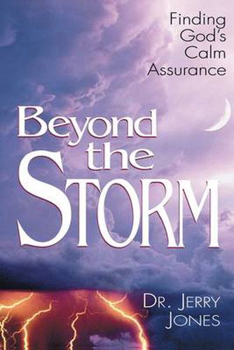 Cover image for Beyond the Storm