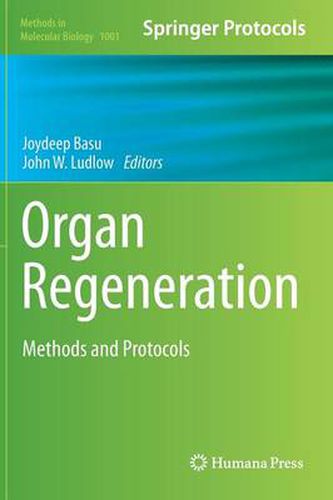 Cover image for Organ Regeneration: Methods and Protocols