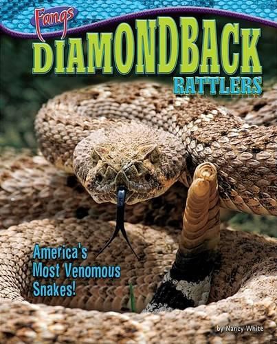 Cover image for Diamondback Rattlers: America's Most Venomous Snakes!
