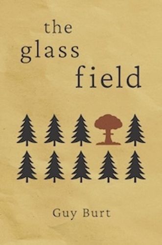 Cover image for The Glass Field