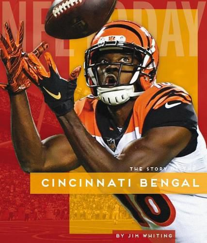 Cover image for Cincinnati Bengals