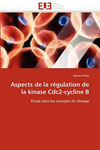 Cover image for Aspects de La Regulation de La Kinase Cdc2-Cycline B