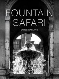 Cover image for Fountain Safari