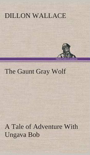 The Gaunt Gray Wolf A Tale of Adventure With Ungava Bob