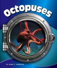 Cover image for Octopuses