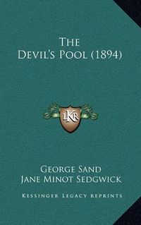 Cover image for The Devil's Pool (1894)