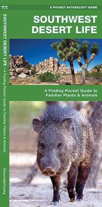 Cover image for Southwestern Desert Life: A Folding Pocket Guide to Familiar Plants & Animals