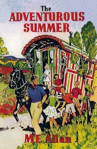 Cover image for The Adventurous Summer