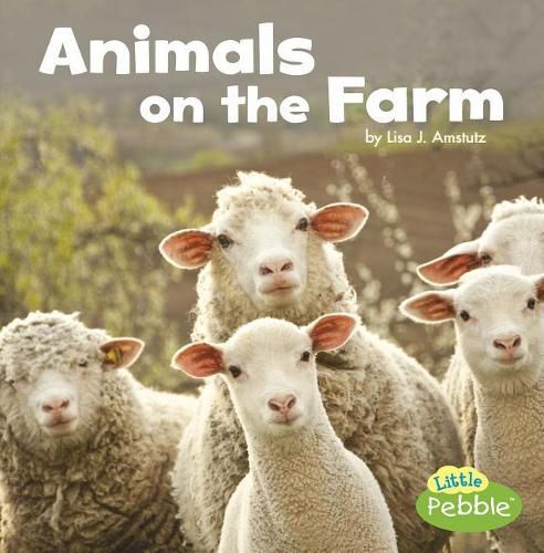 Cover image for Animals on the Farm