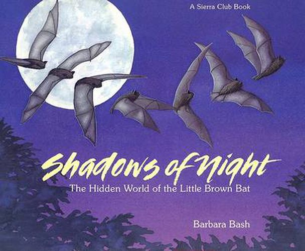 Cover image for Shadows of Night: The Hidden World of the Little Brown Bat