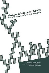 Cover image for Molecules in Time and Space: Bacterial Shape, Division and Phylogeny