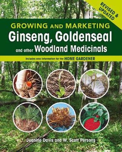 Cover image for Growing and Marketing Ginseng, Goldenseal and other Woodland Medicinals: 2nd Edition