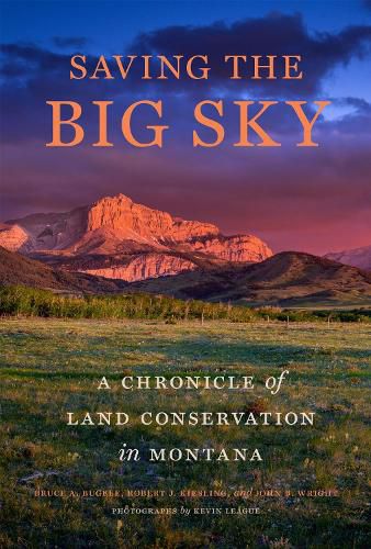 Cover image for Saving the Big Sky