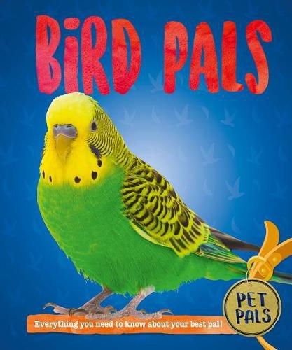 Cover image for Bird Pals