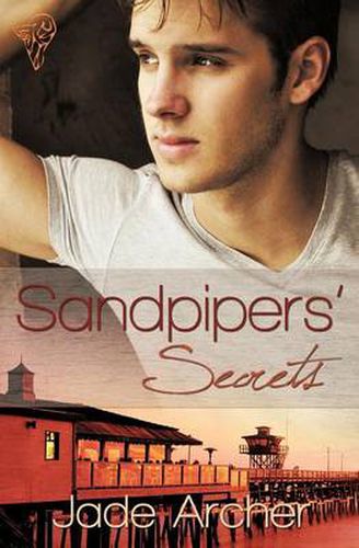 Cover image for Sandpipers' Secrets