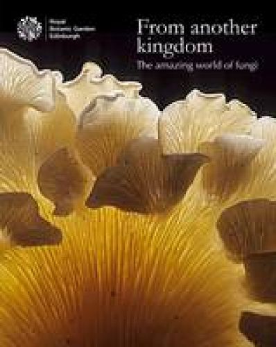 Cover image for From Another Kingdom