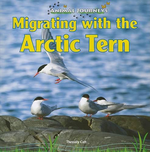 Cover image for Migrating with the Arctic Tern