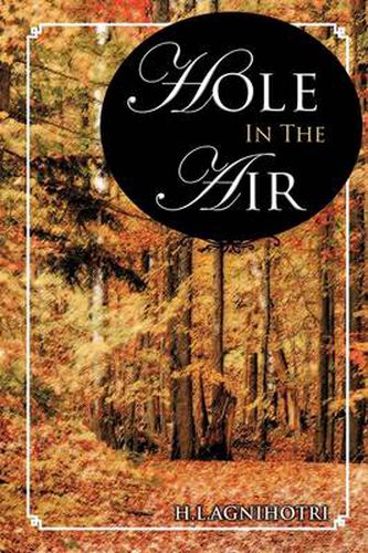 Cover image for Hole in the Air