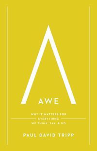 Cover image for Awe