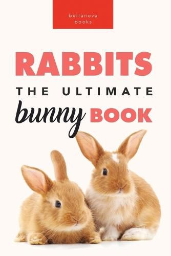 Cover image for Rabbits