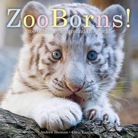 Cover image for ZooBorns!: Zoo Babies from Around the World