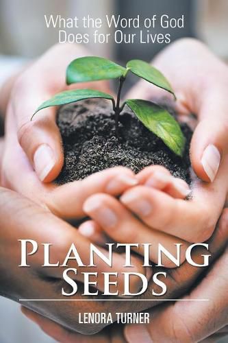 Cover image for Planting Seeds