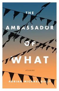 Cover image for Ambassador of What: Stories