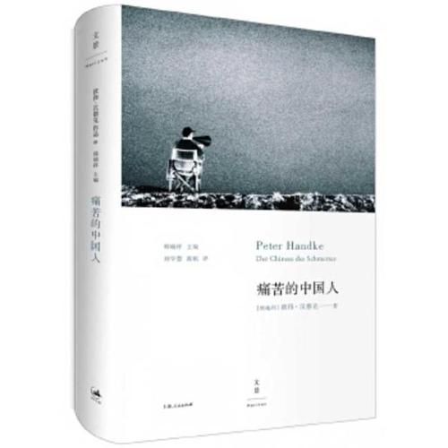 Cover image for The Painful Chinese
