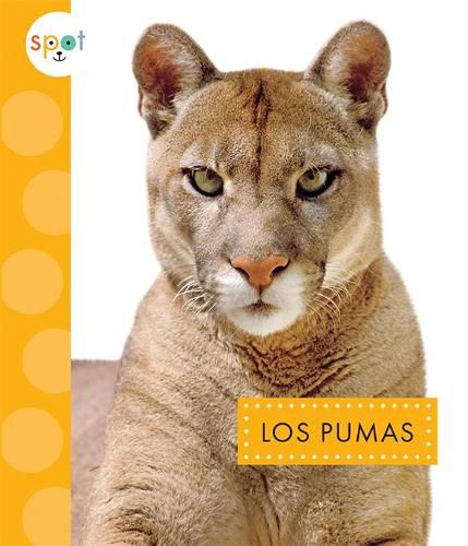 Cover image for Los Pumas