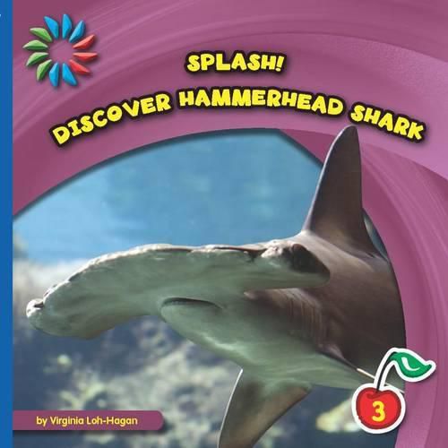 Discover Hammerhead Shark