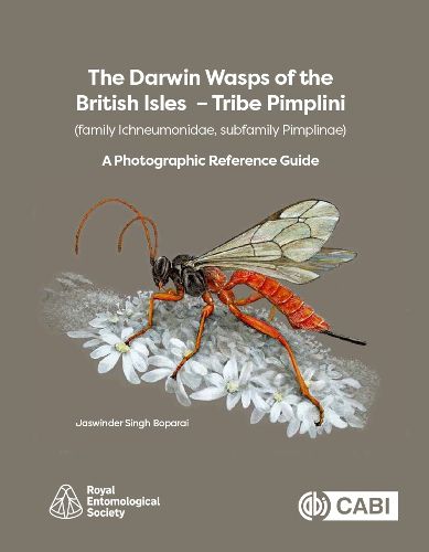 Cover image for The Darwin Wasps of the British Isles - Tribe Pimplini (family Ichneumonidae, subfamily Pimplinae)