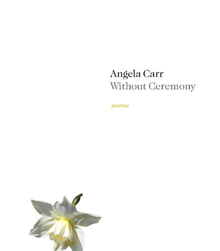 Cover image for Without Ceremony