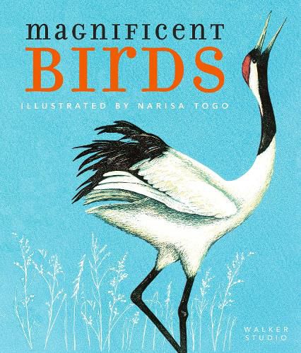Cover image for Magnificent Birds