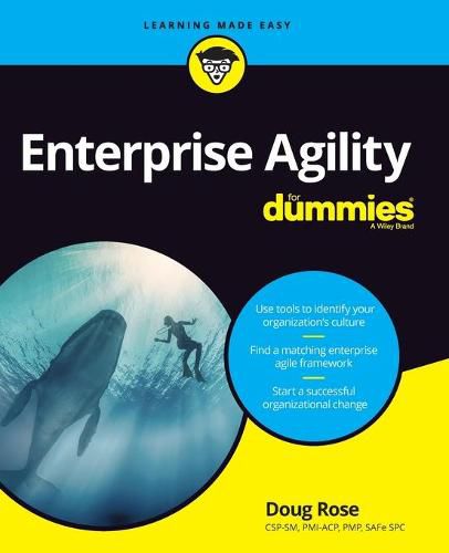 Cover image for Enterprise Agility For Dummies